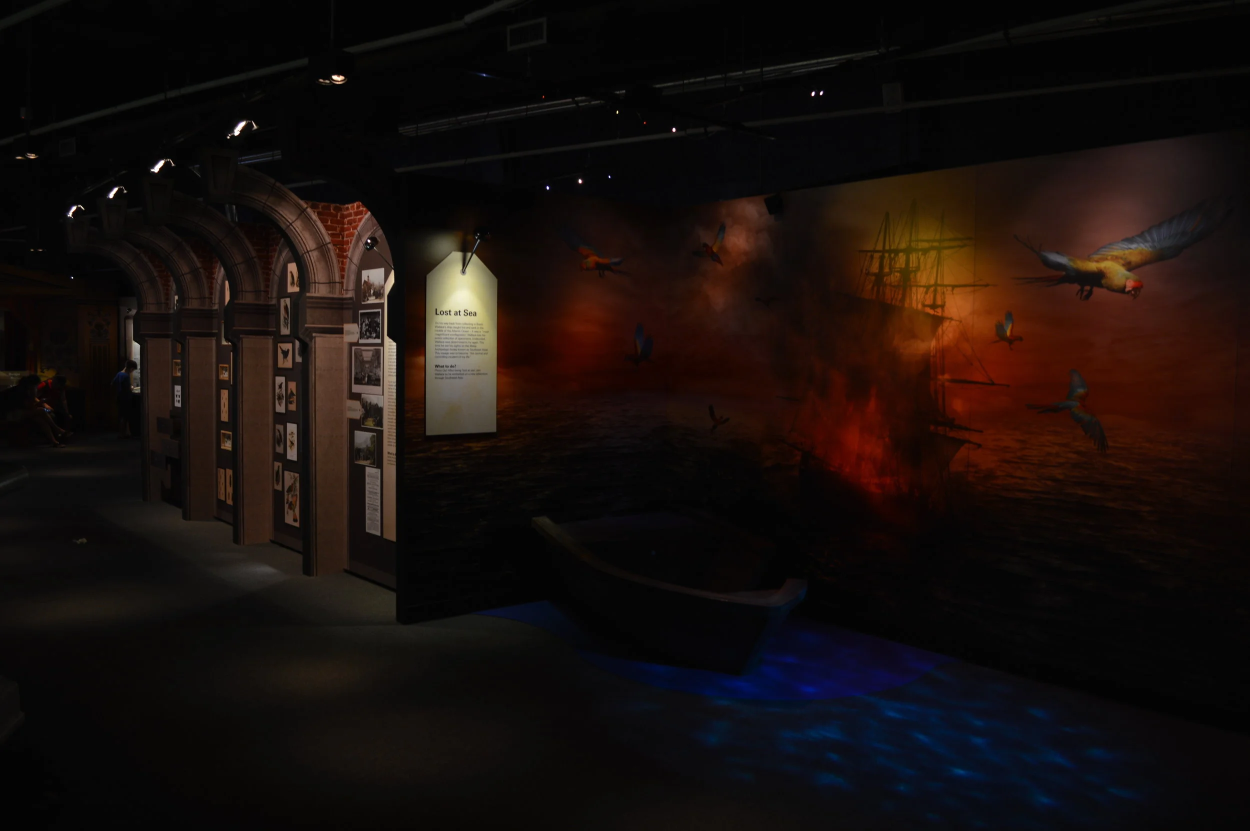 Island Adventurer Exhibition