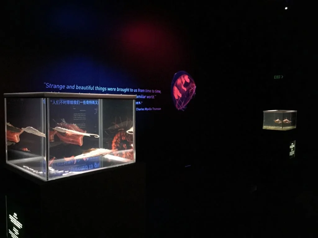 WhatsApp Image 2018-04-01 at 5.33.57 PM (1).jpeg