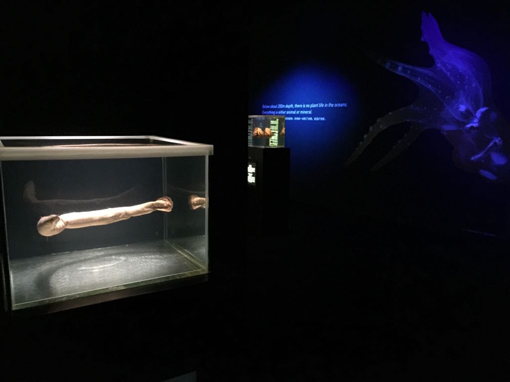 WhatsApp Image 2018-04-01 at 5.33.57 PM (2).jpeg