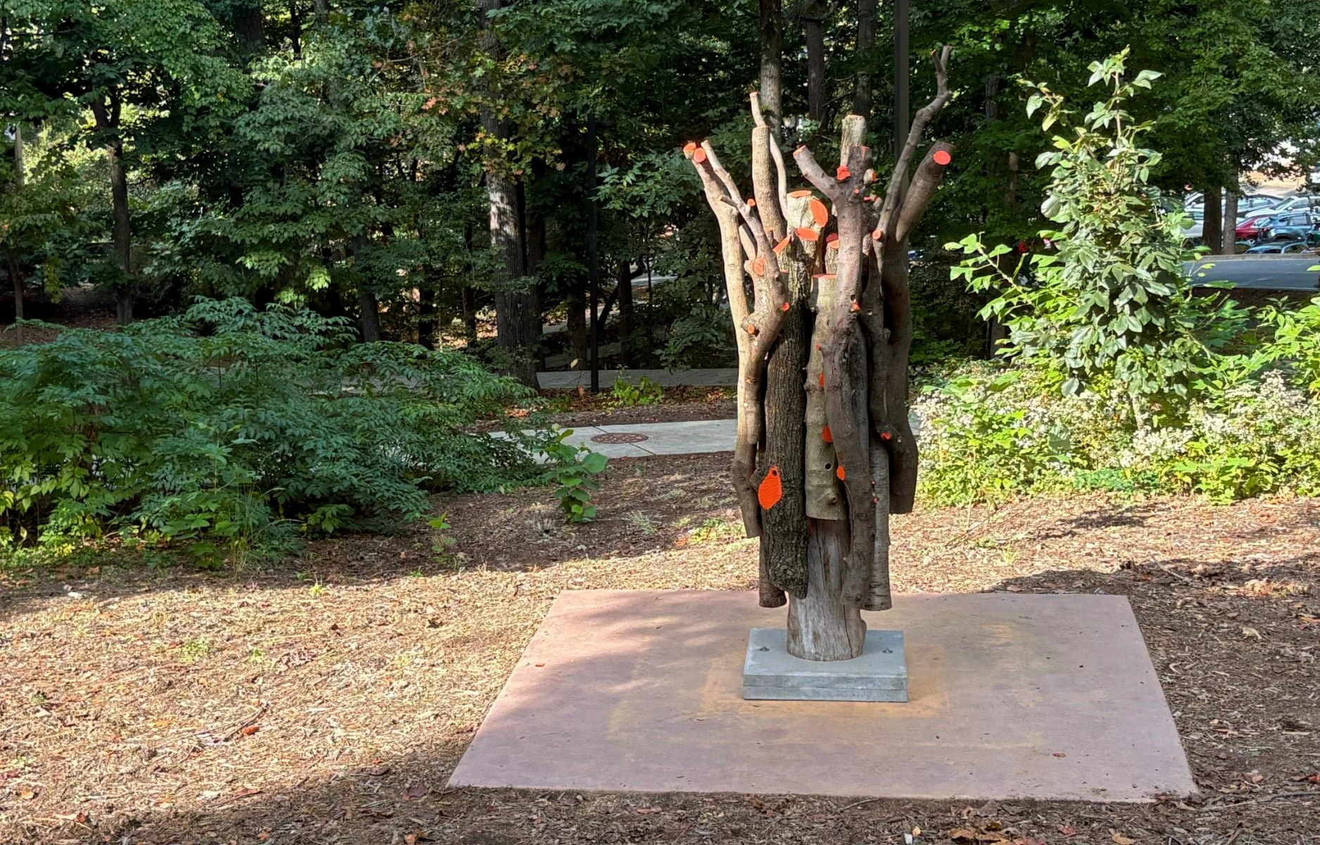 Kindling-3.jpg