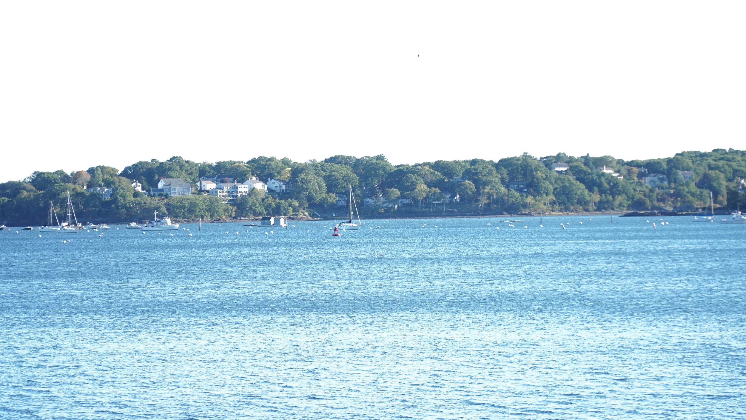 DSC01580.JPG