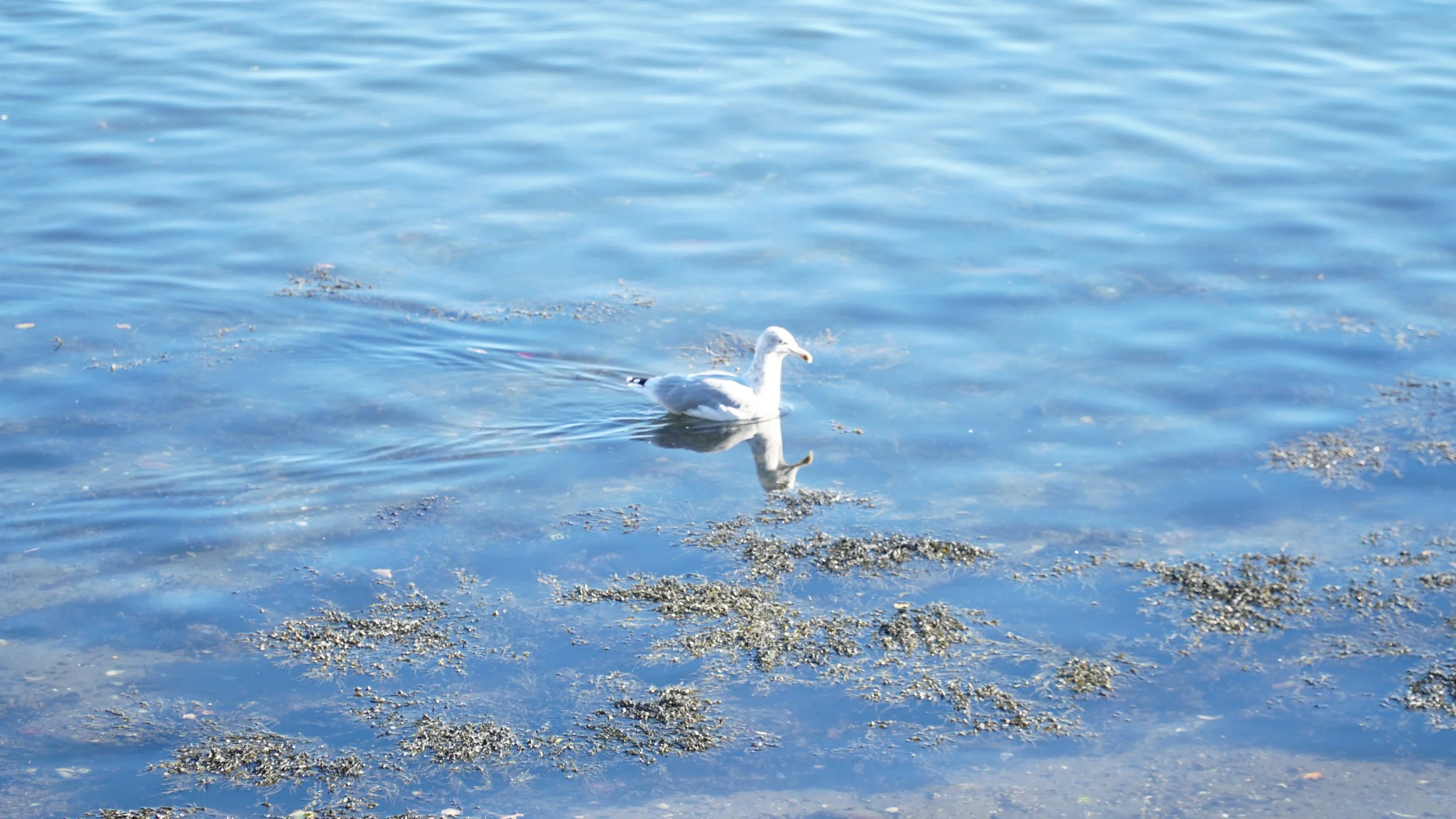 DSC01576.JPG