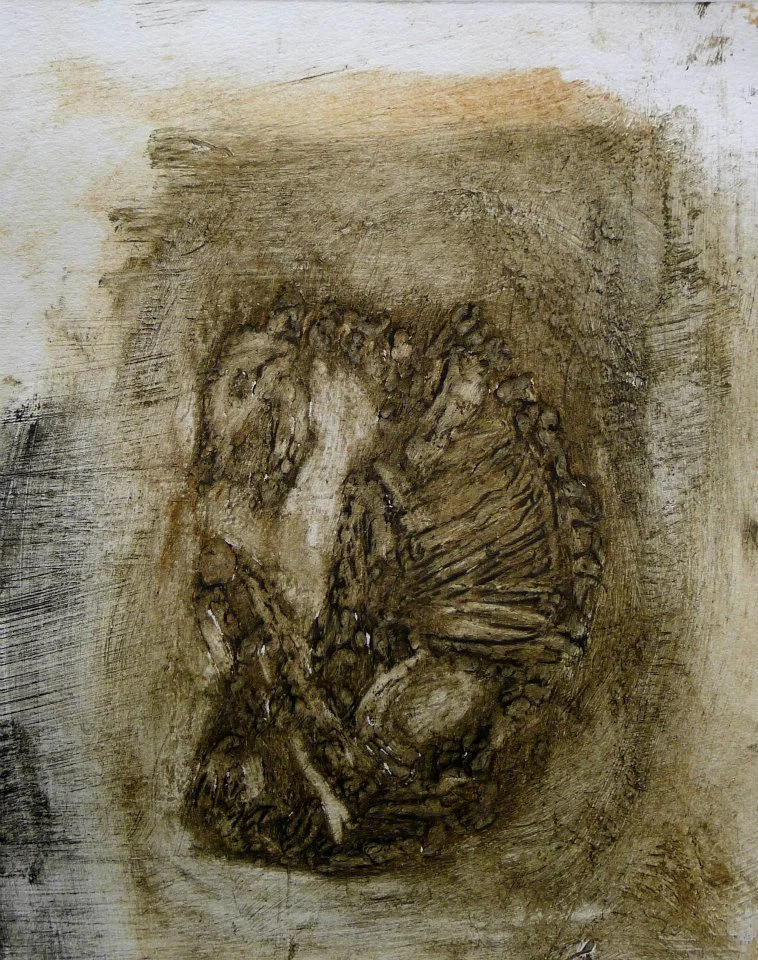 Bone study