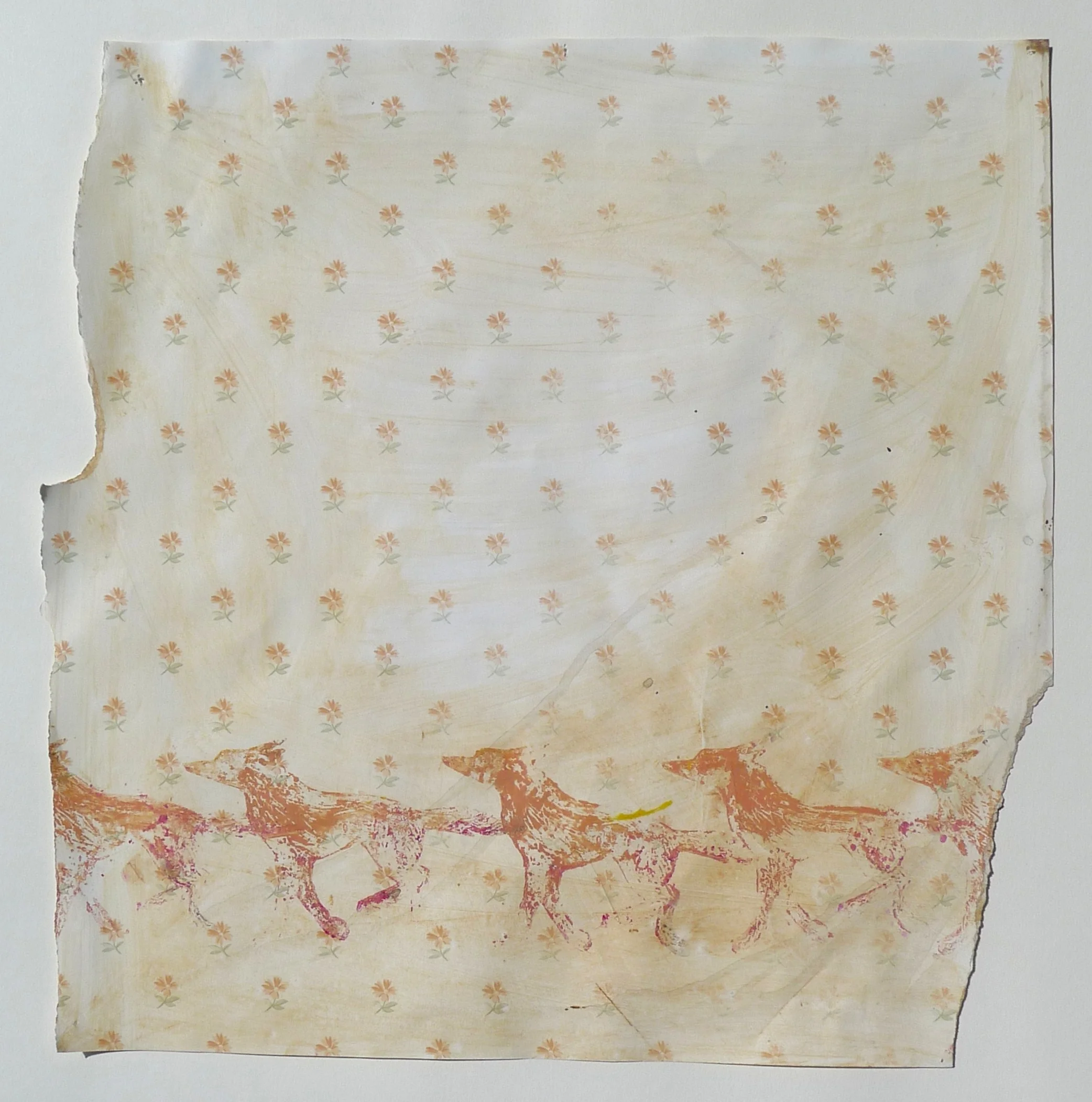 Wolfdog study (pink)