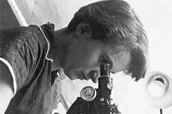 Rosalind Franklin’s Overlooked Role in the Discovery of DNA’s Structure