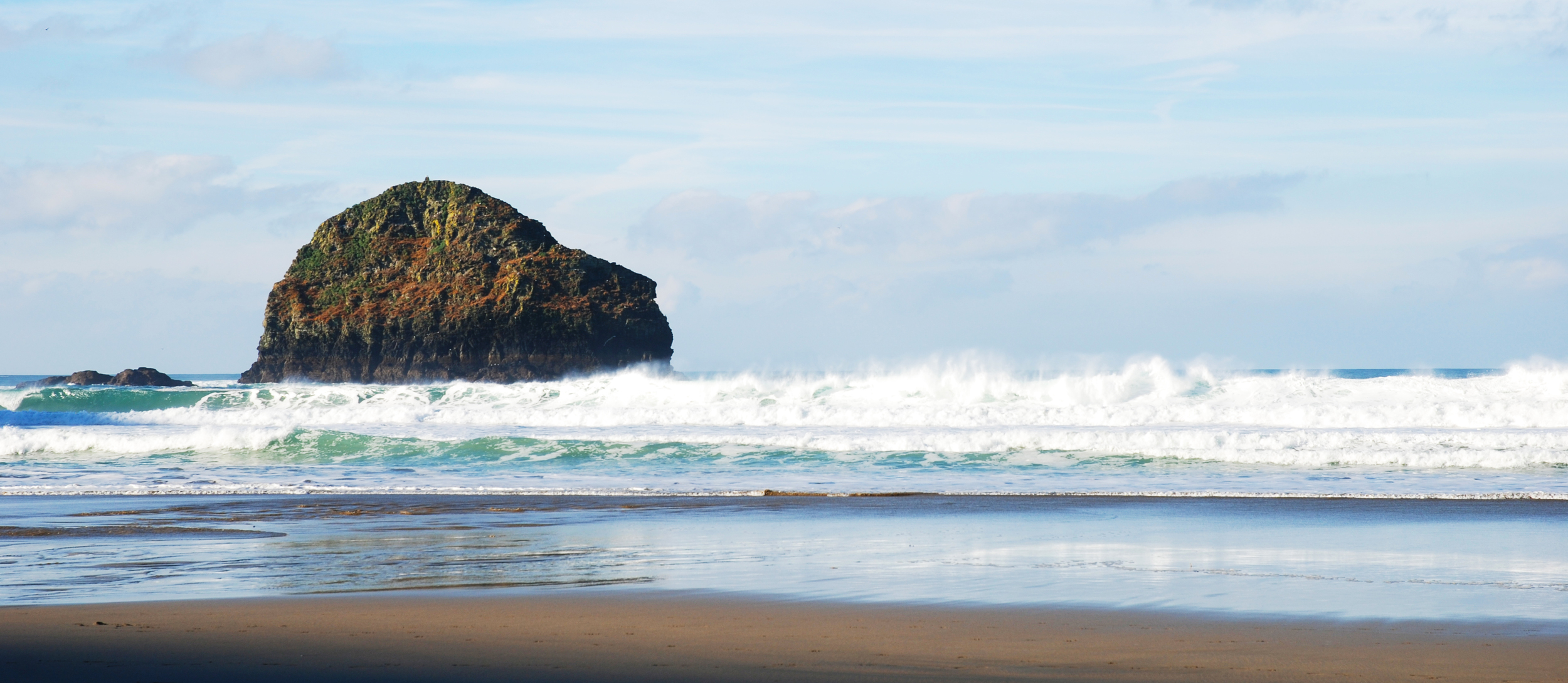 Gull Rock, Trebarwith