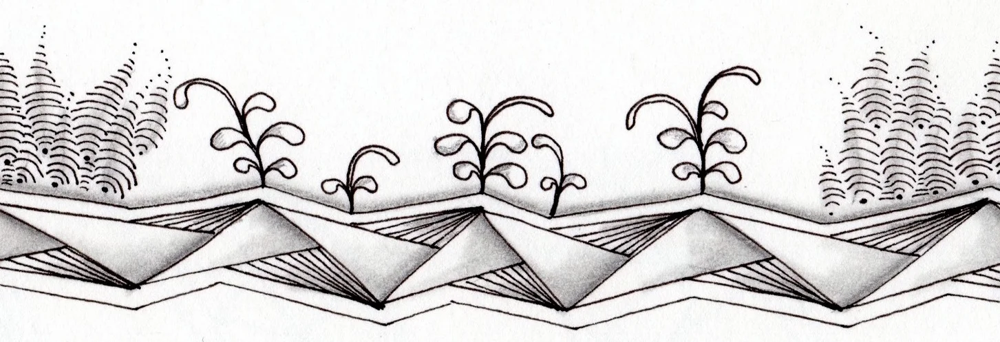 Unlock Your Creativity with the Zentangle Method