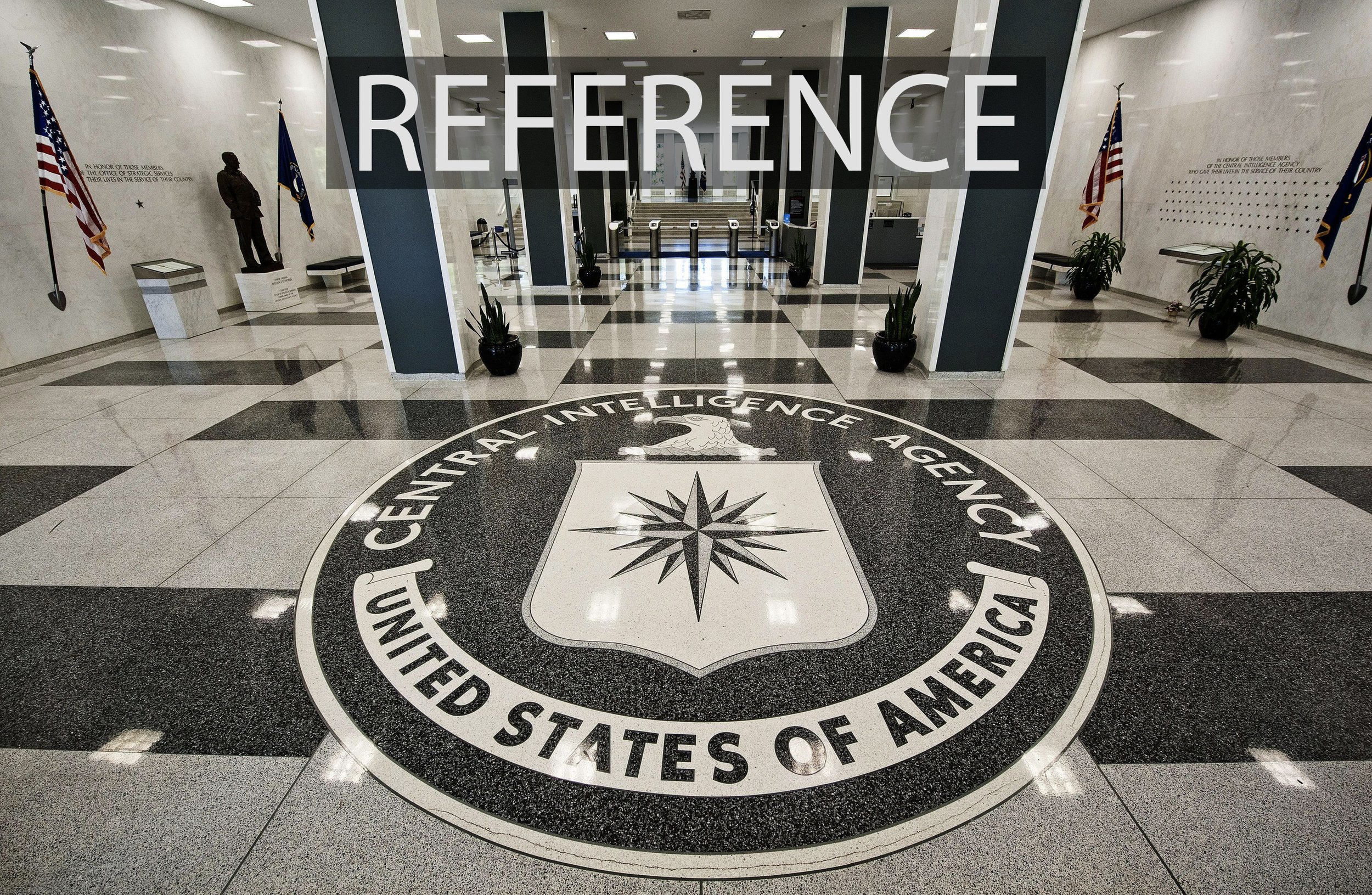 DS3 - CIA Reference2.jpg