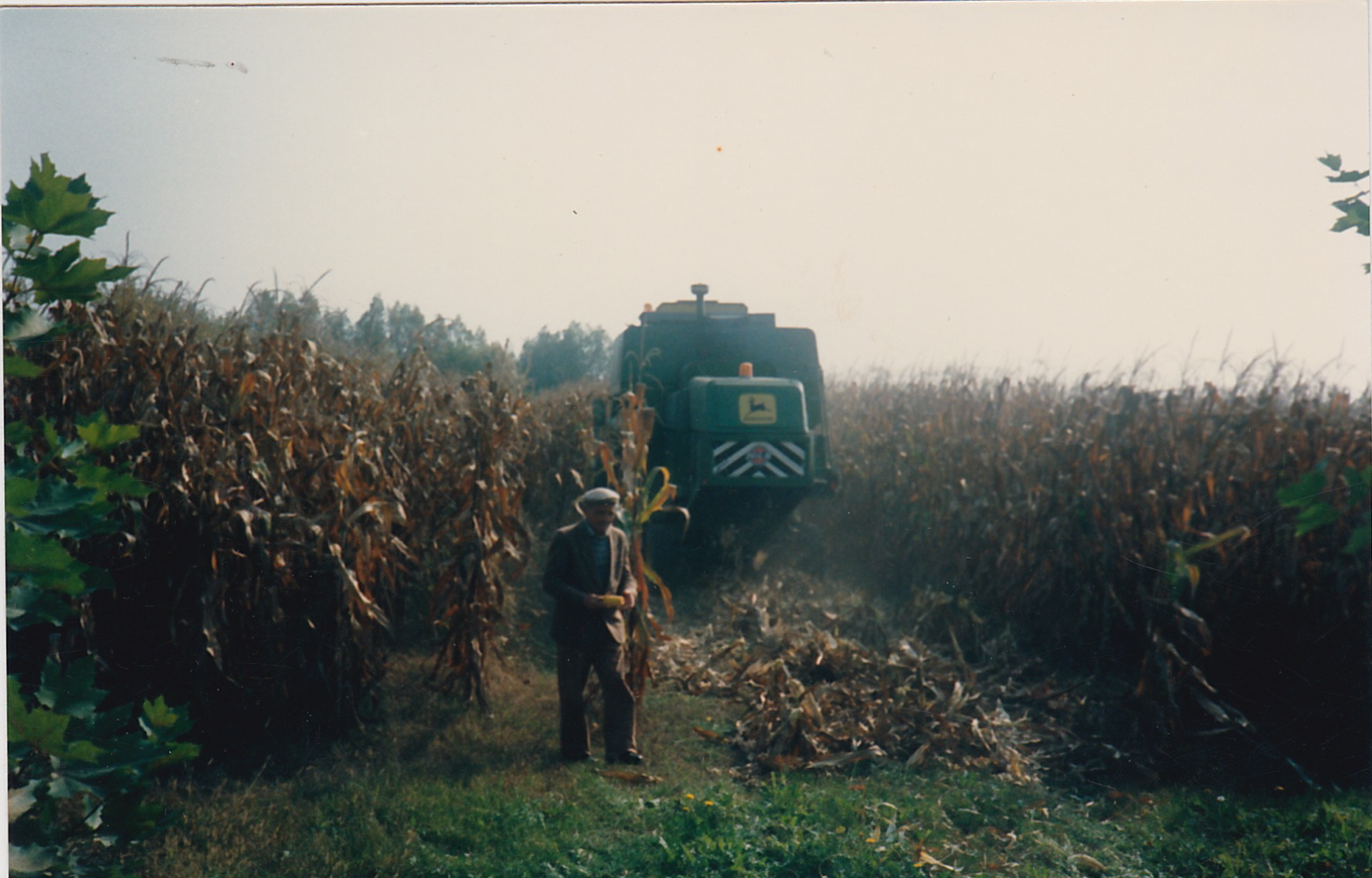 Vintage Wades Farm images harvesting dried corn crops. 