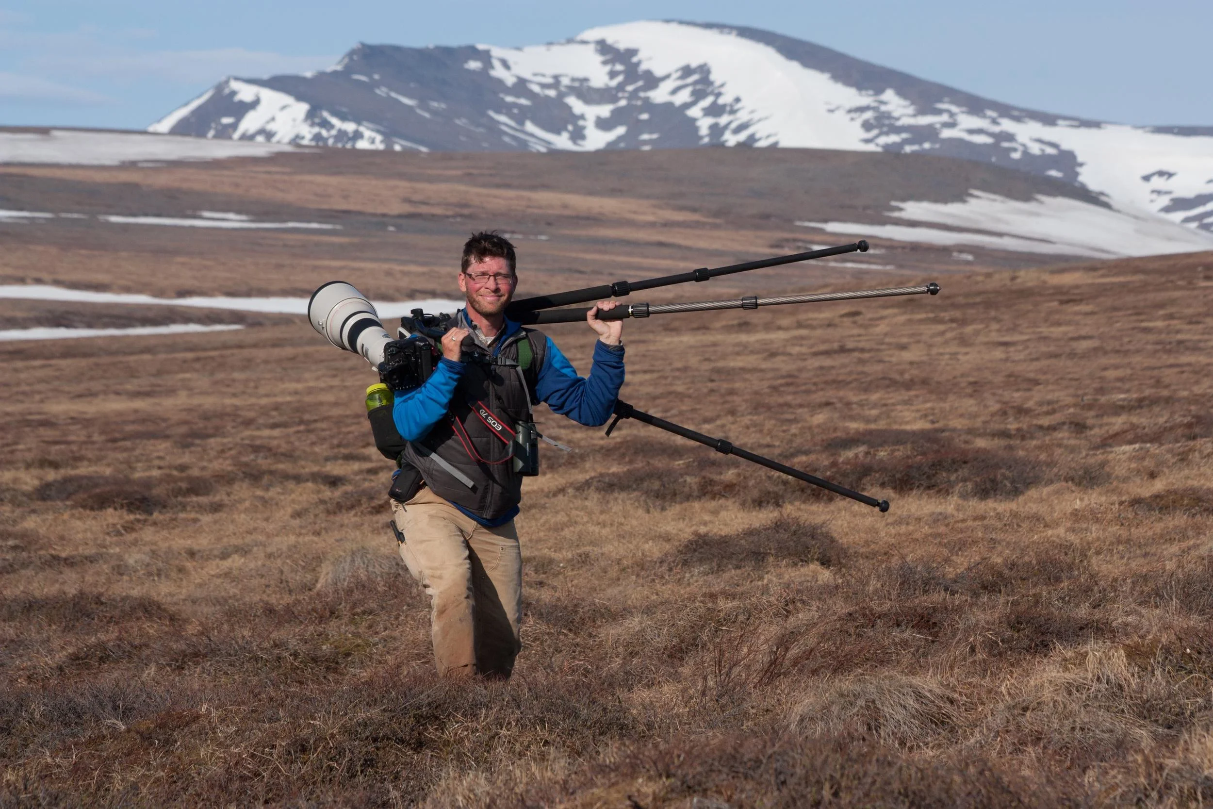 Trekking in search of Baird's Sandpiper, Nome, Alaska. Photo by Luke Eberhart-Phillips.