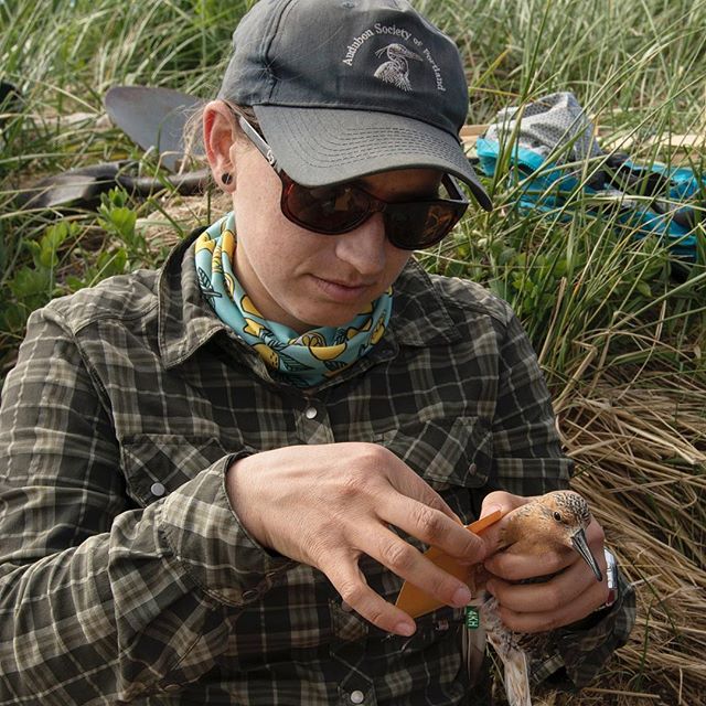 @calliegesmundo taking samples from a Red Knot and @laura.mcduffie measuring a Solitary Sandpiper.  Happy International Day of Women and Girls in Science!#internationaldayofwomenandgirlsinscience #conservationscience #conservationphotography