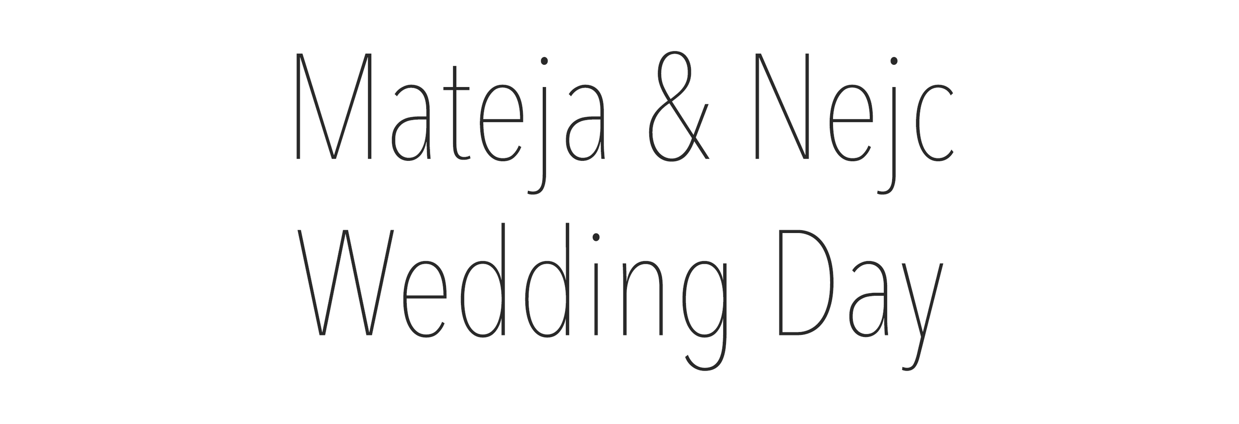 Mateja&Nejc_Wedding_Day.jpg