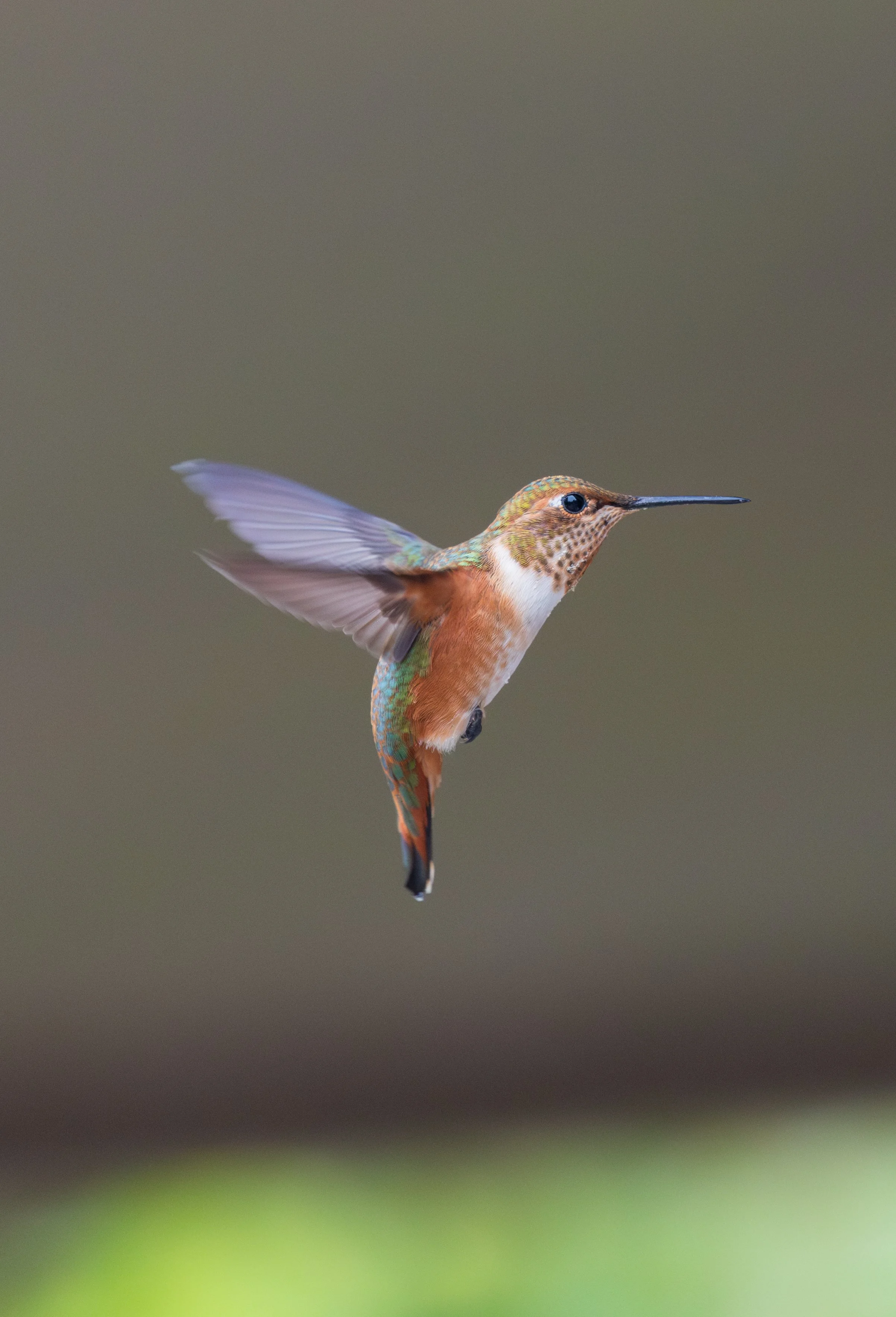 1M8A0473-Enhanced-NR 2.JPG