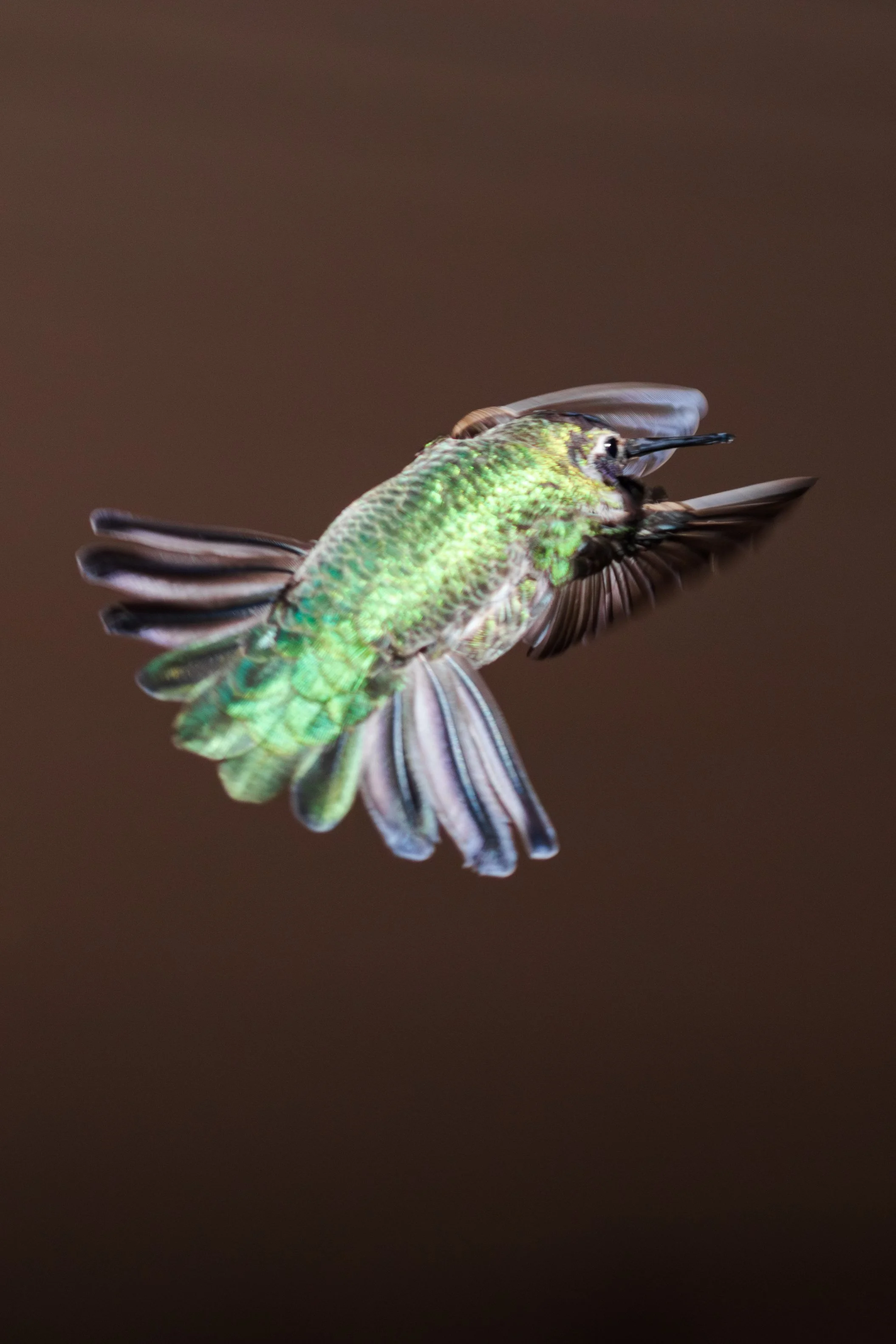 _S8A9094-Enhanced-NR 2.JPG