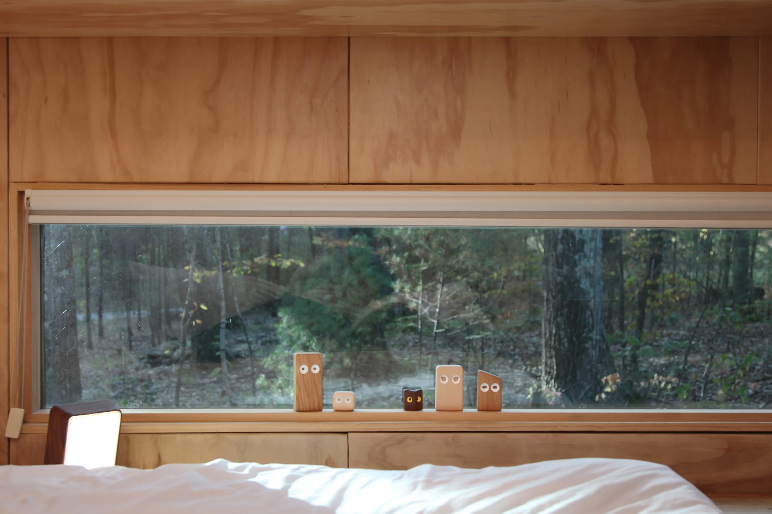 Eye_Toy_10_in the Woods.JPG