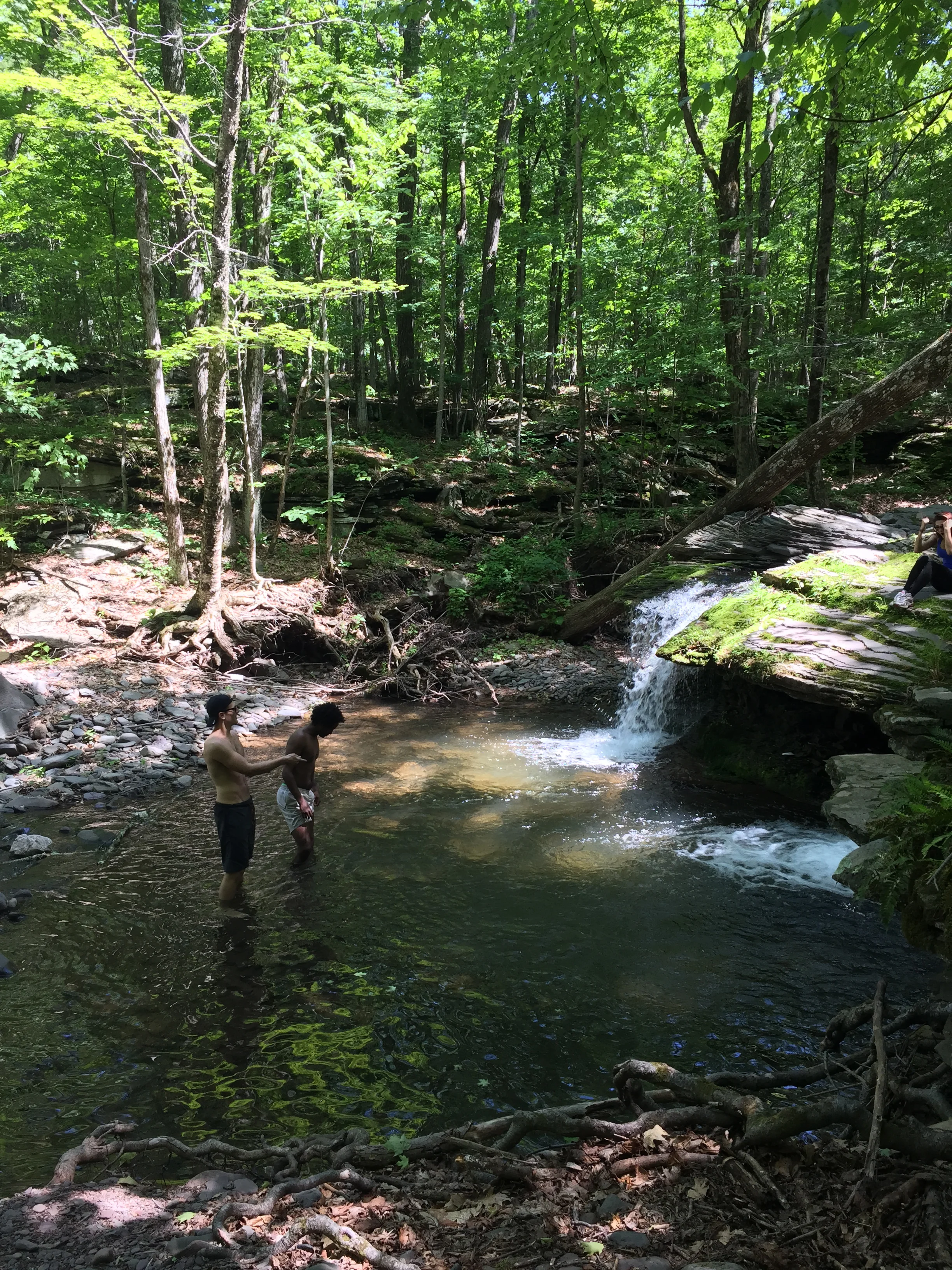 Round Top Spring Falls-NY