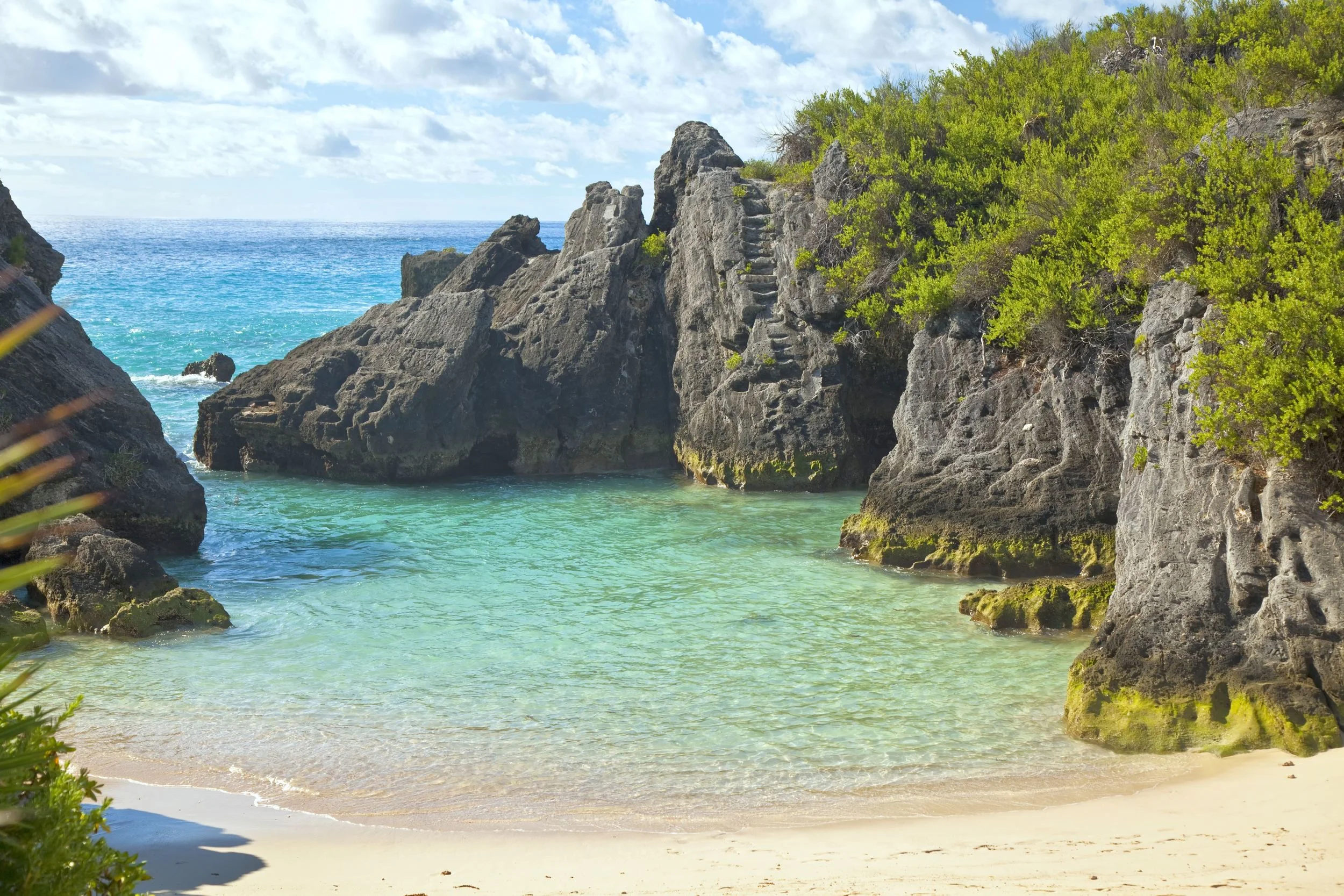 Bermuda Cove
