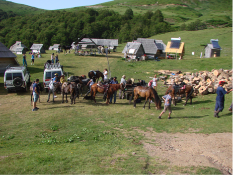 Montenegro Mountains Horse Back Riding