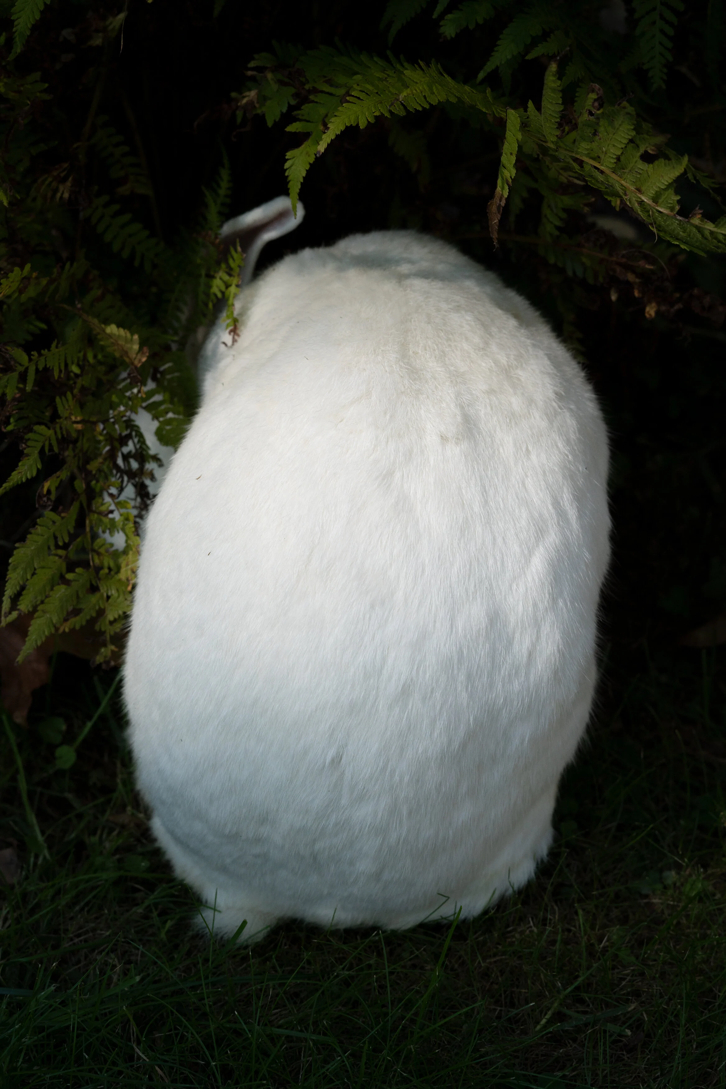 03_Bun_03.jpg