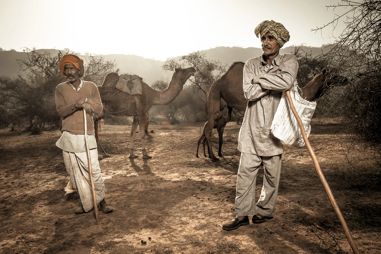20150227_Rajasthan_9013.jpg