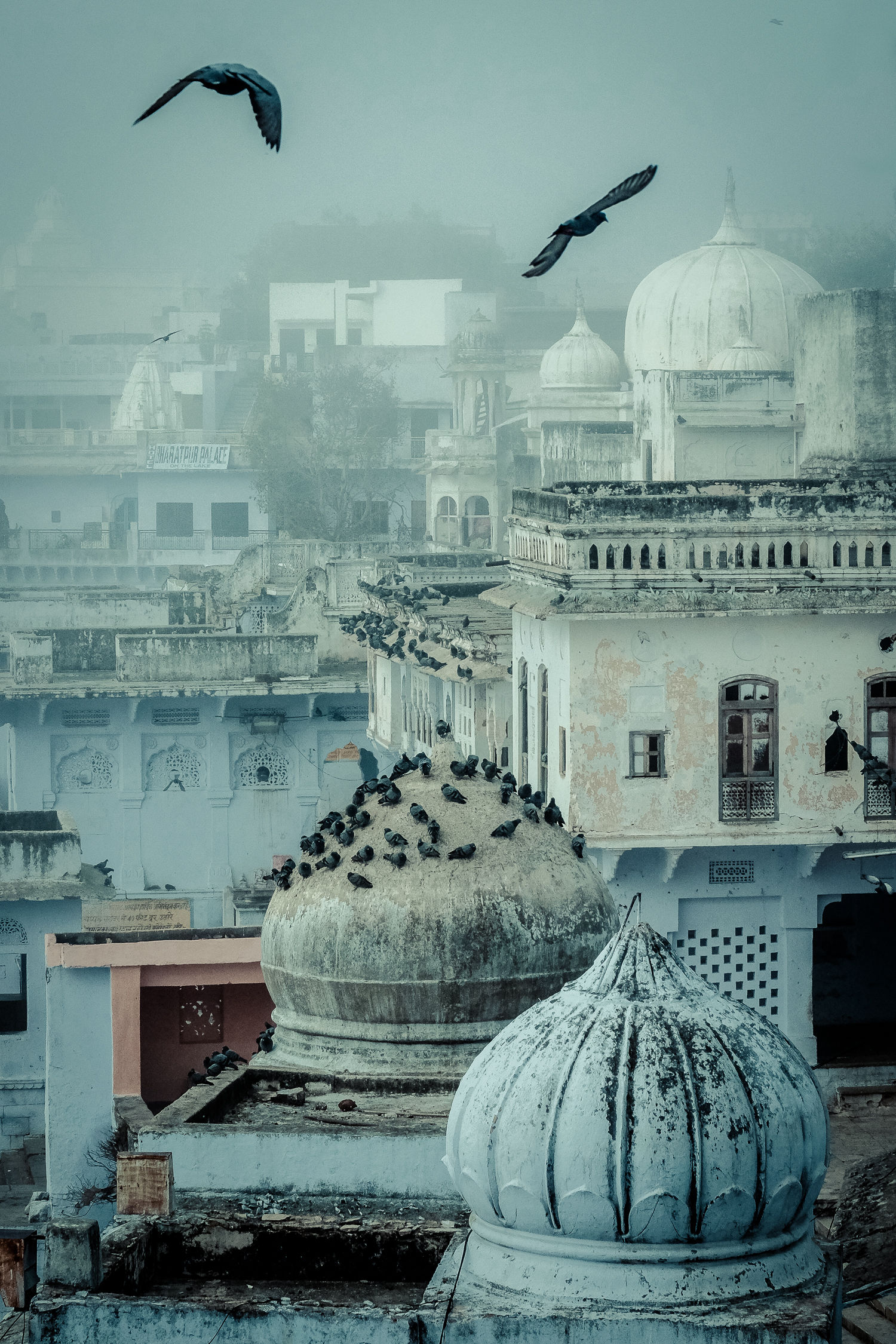  Pushkar skyline 