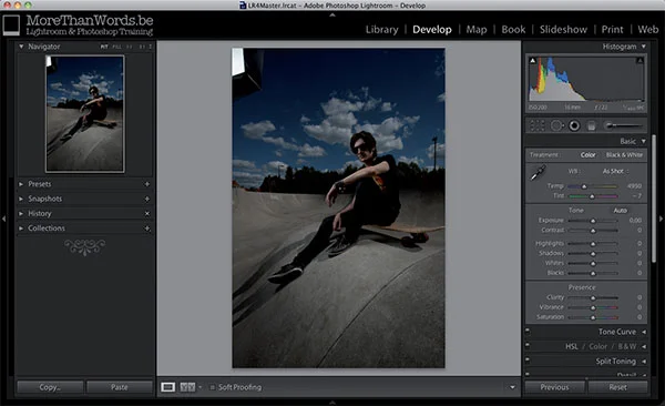 My image was heavily underexposed but that's not a problem for Lightroom.