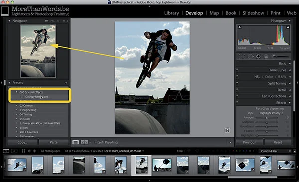 The great thing about Lightroom presets is that you can preview them in the Navigator Panel. So you only click and apply them when the preview looks nice.