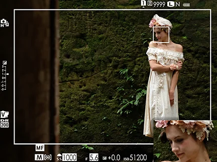 On the X-Pro 2 with its unique hybrid viewfinder, you can set up the OVF as the main viewfinder but still have the EVF displayed in the bottom right corner. You have 3 zoom levels available: 100% field of view, 2.5x magnification and 6x magnification. This is handy for checking focus, real-time exposure, white balance and what not. It's really the ultimate viewfinder experience. Image © Fujifilm