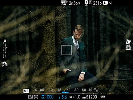You can add as much - or as little - information in the EVF as you want. In this case, the bar at the bottom is the distance scale. It displays a white bar (at 1.8 m) where the actual focus point is. The blue bars left and right indicate the range of acceptable focus. This is ideal for zone-based focusing. Image © Fujifilm