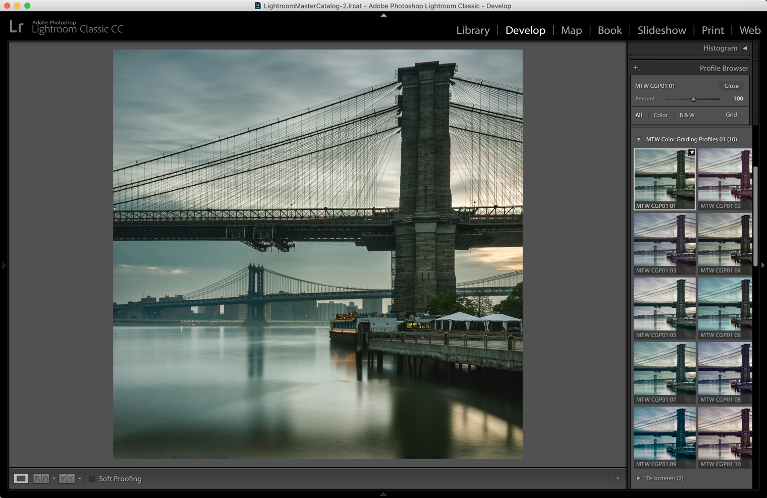 Buy the tutorial before the end of January, 2019 and you receive these 10 color grading profiles for free.