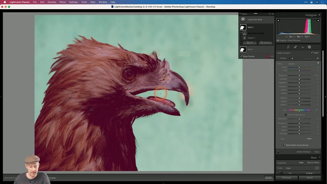 The new Lightroom Masks: not only for people portraits!