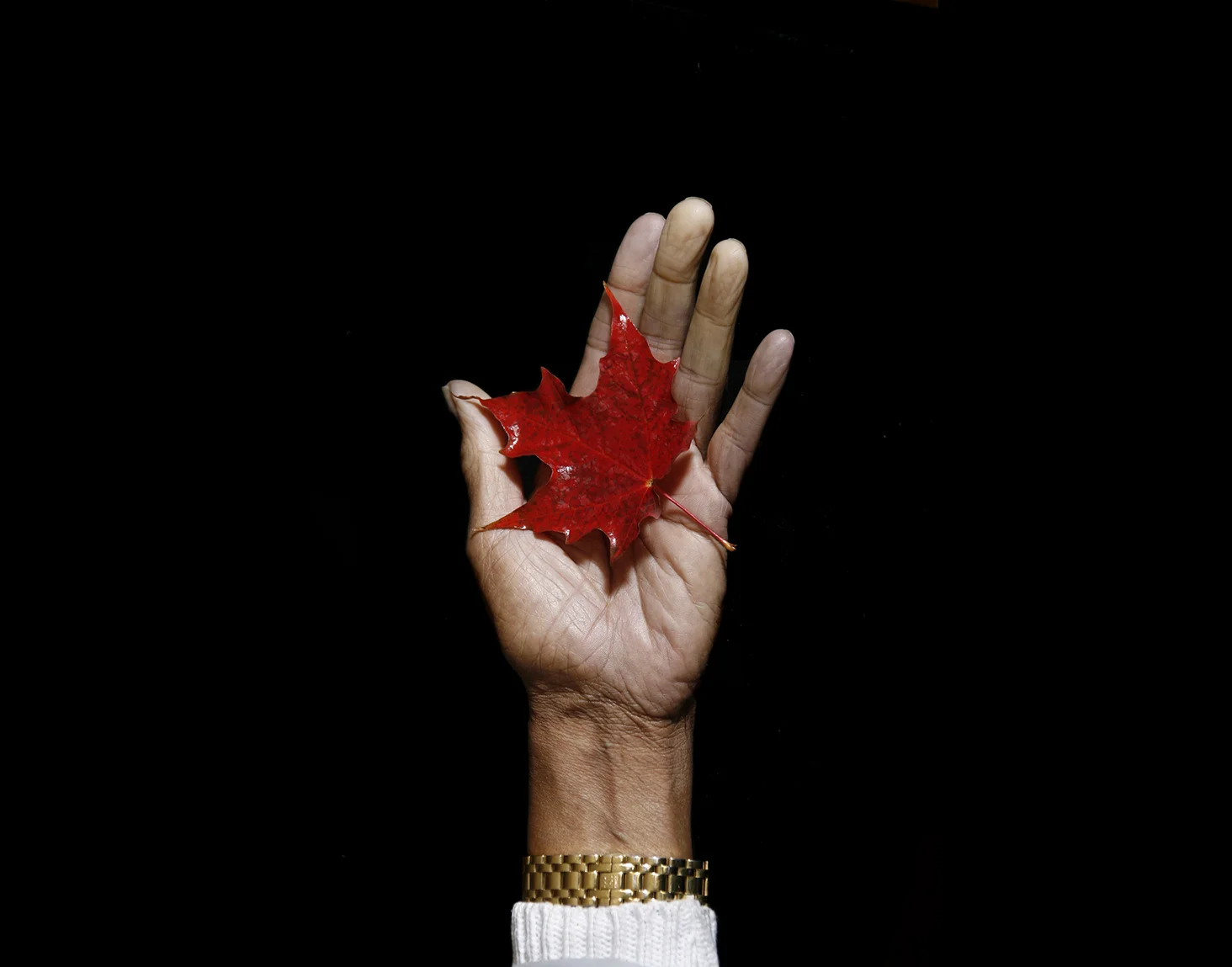 9Maple leaf.Hon.Lincoln Alexander.2007..jpg