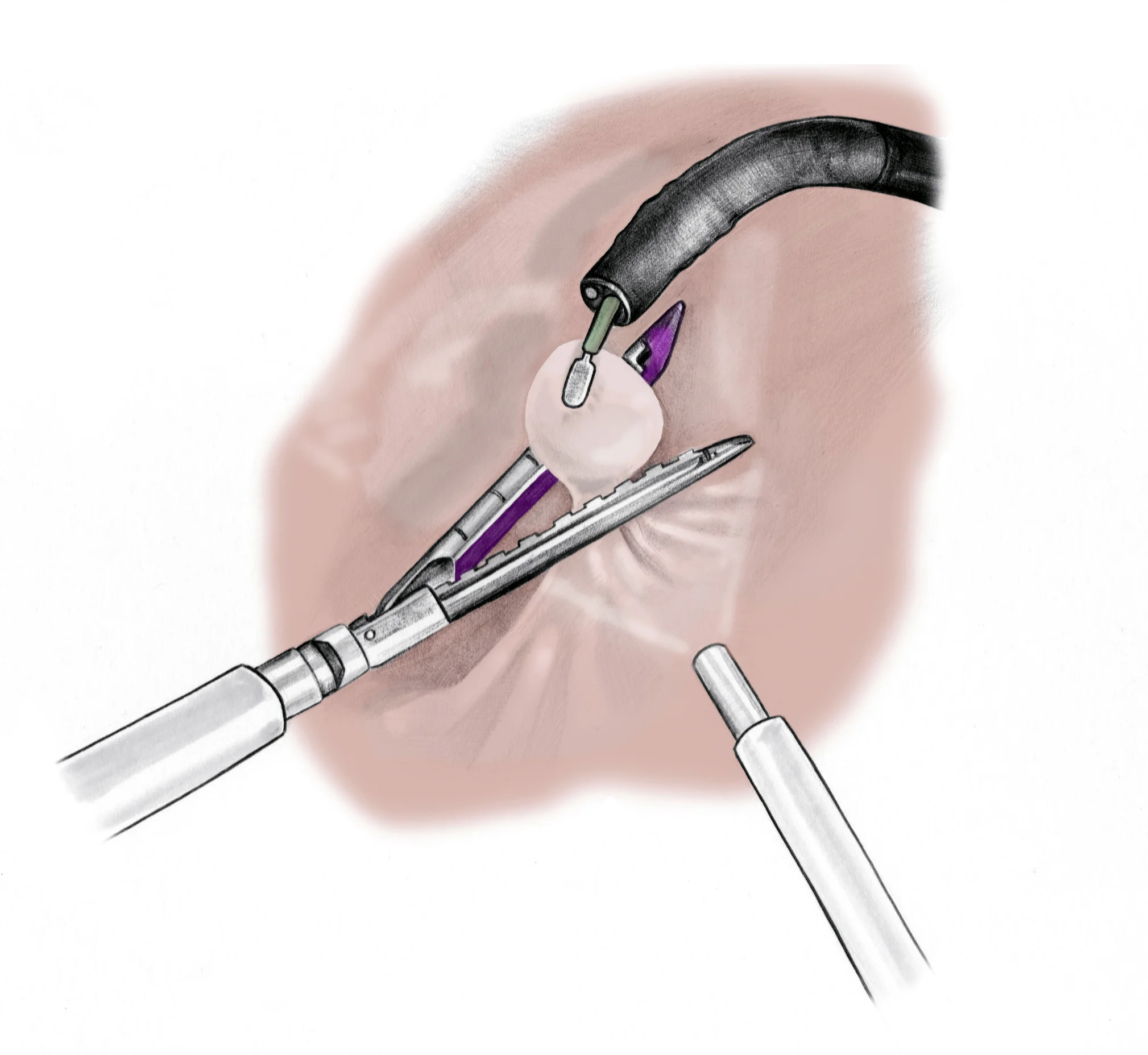 figure 3 copy.jpg