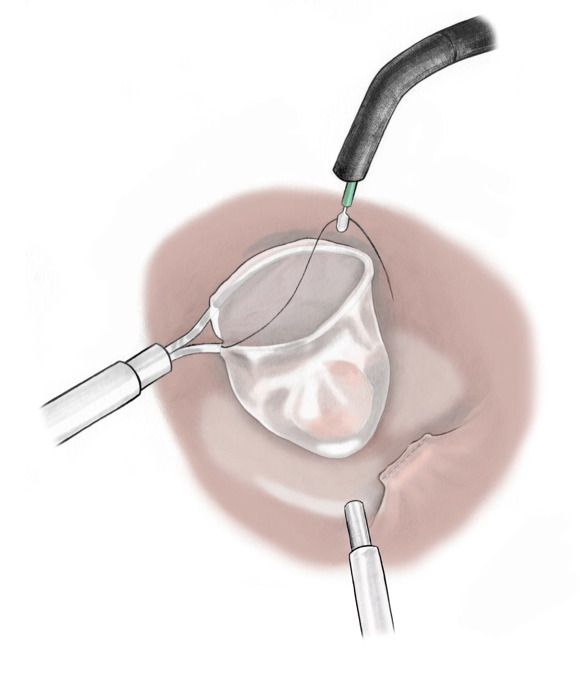 fig4.jpg