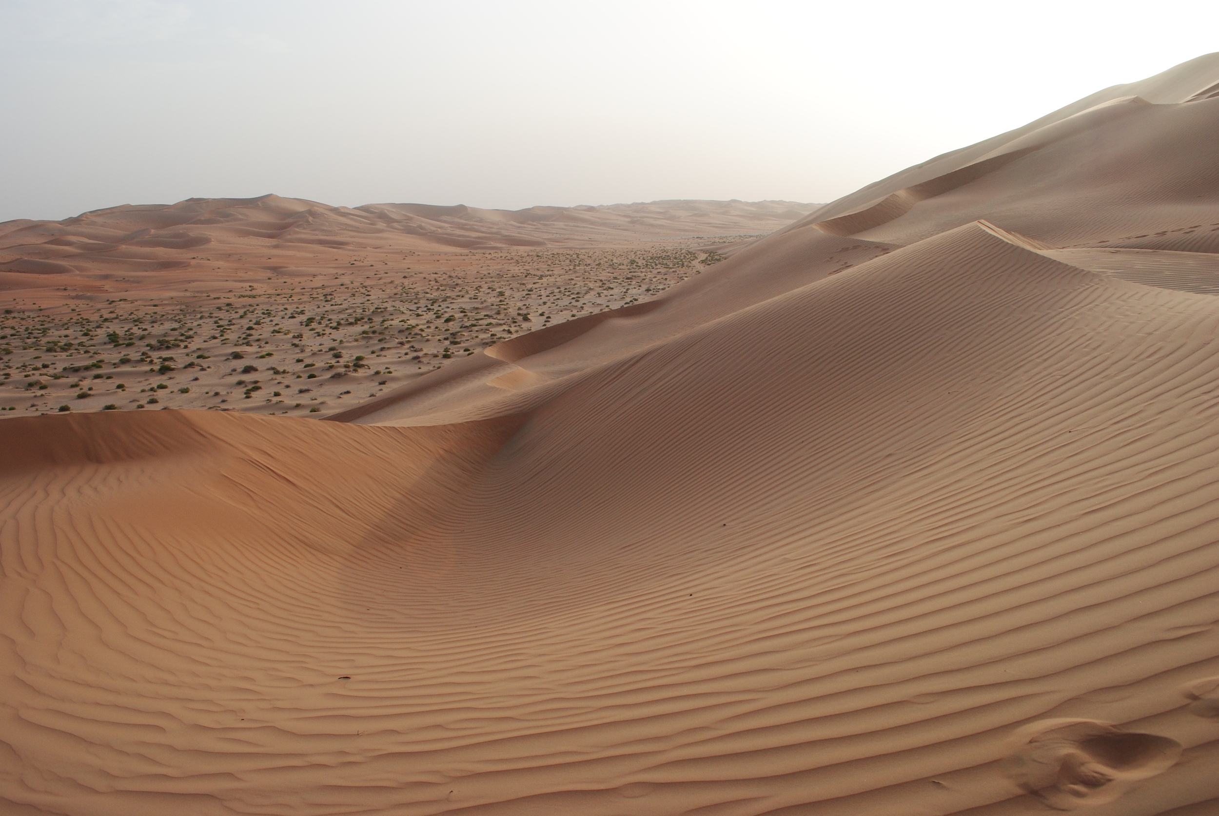 DSC_1252.JPG