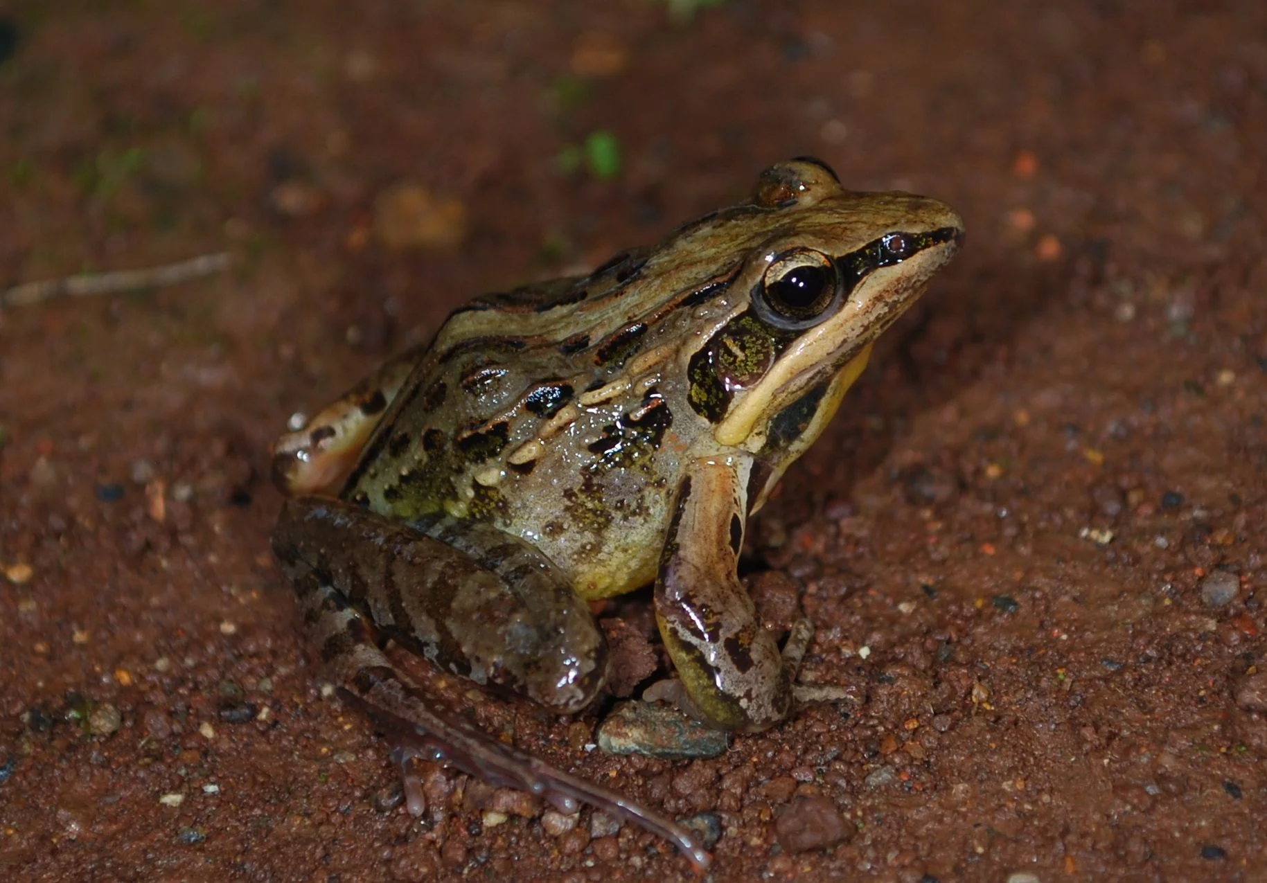 DSC_0473.jpg