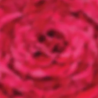 lorna-cover-website-round.jpg