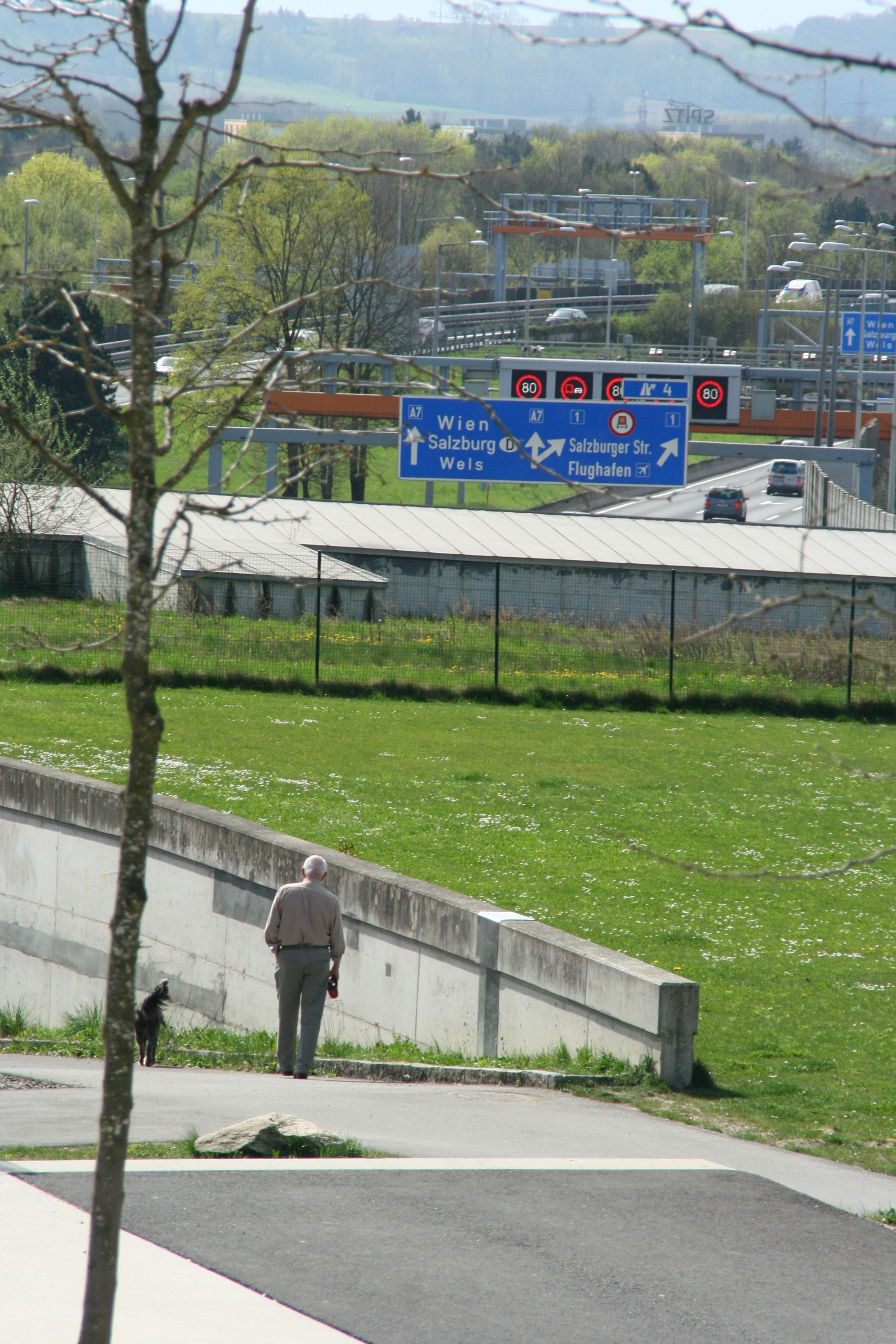 IMG_5794.jpg