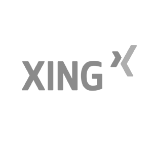 _0023_xing.png