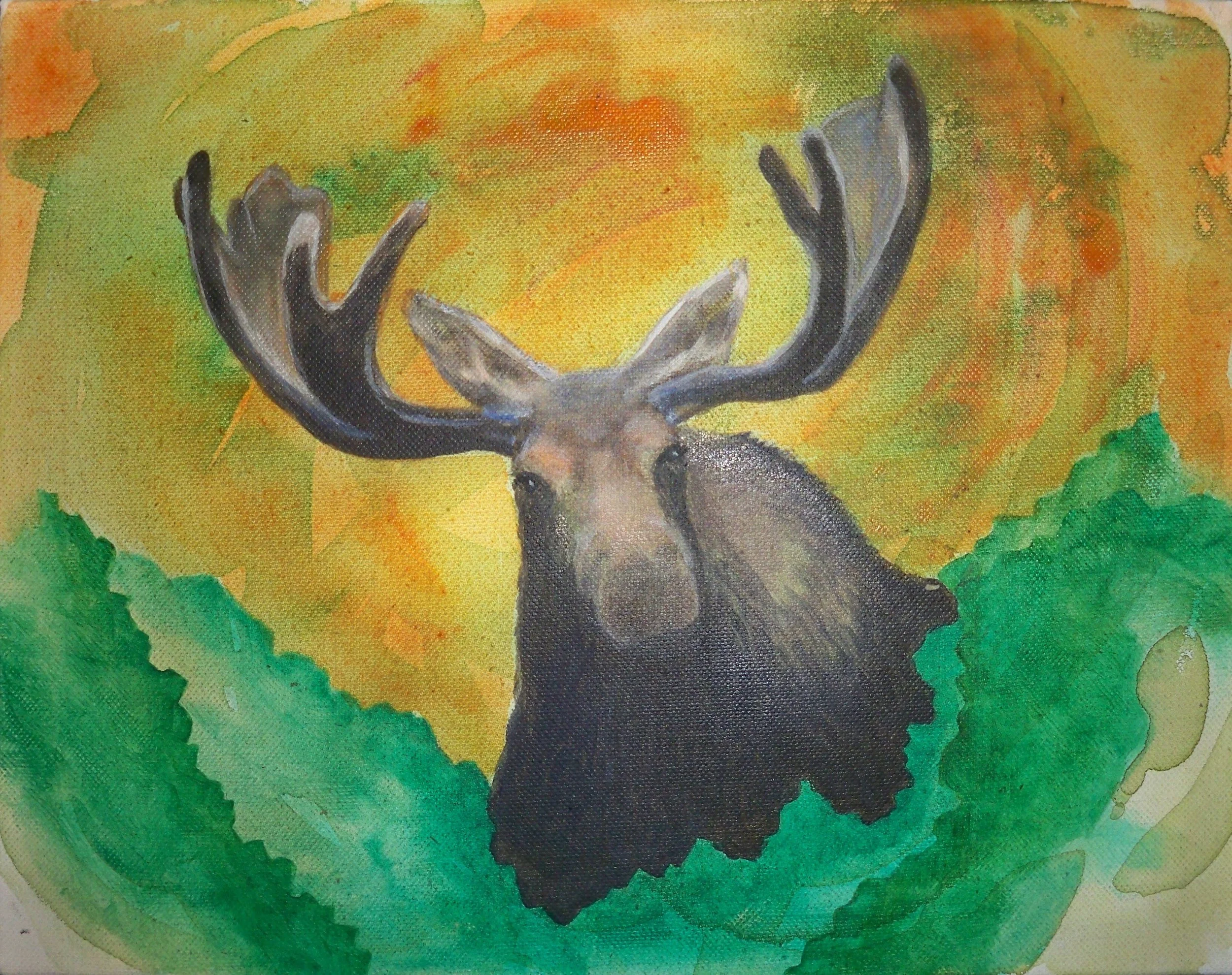 Moose Fusion 3.JPG