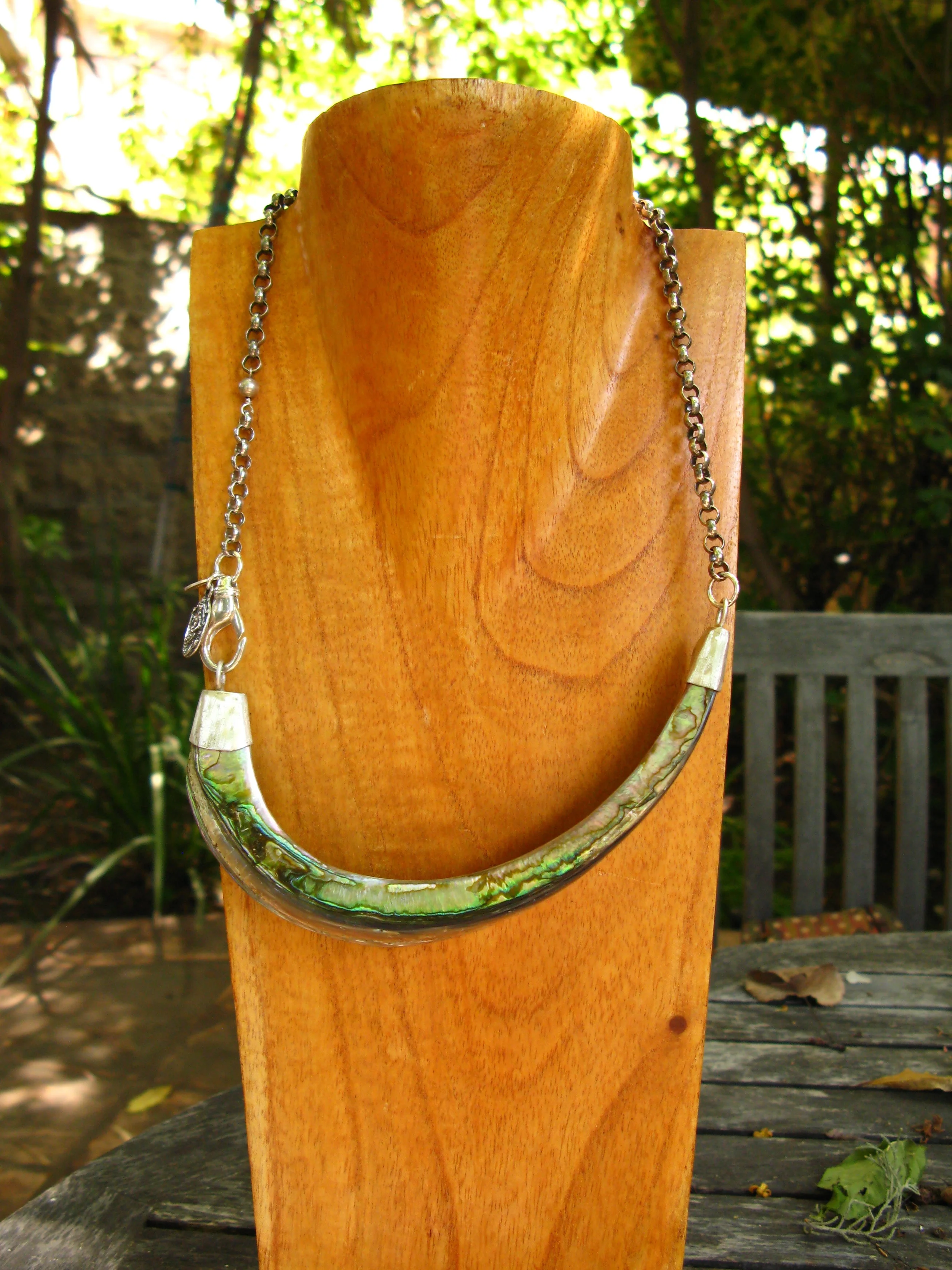 Abalone Horn Necklace Front