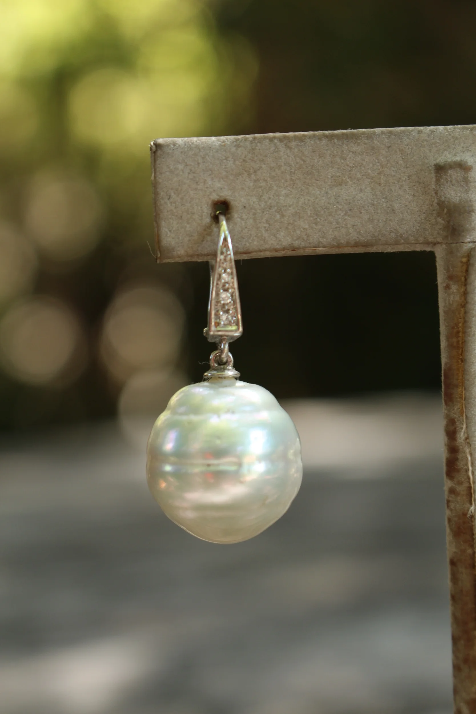 South Sea Pearl Earrings Close Up Front