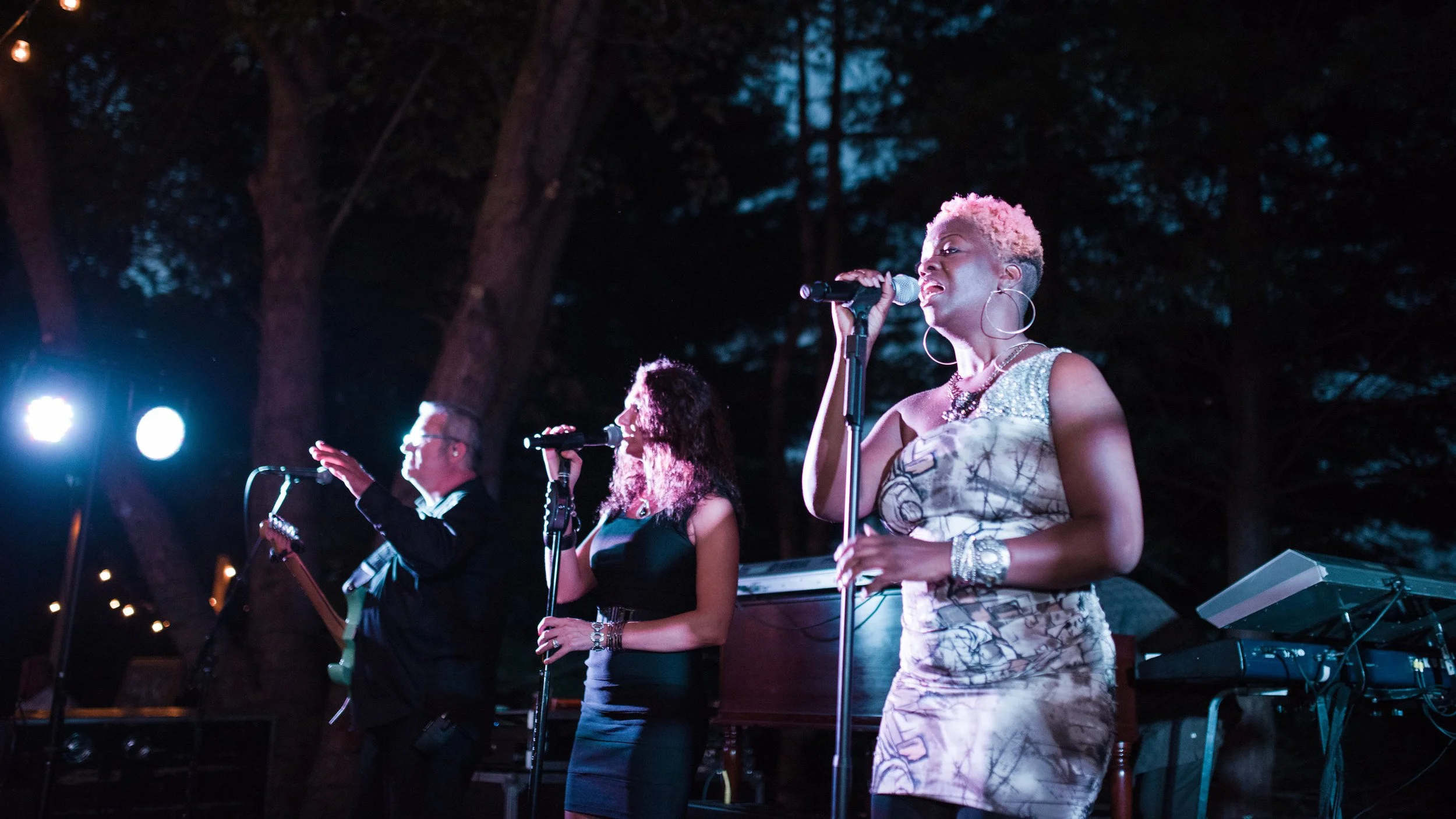 The Flying Toasters Show Dates — The Flying Toasters