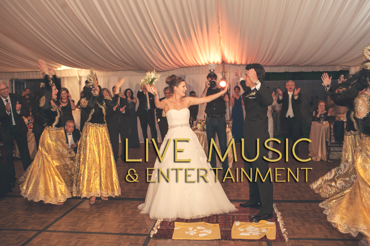 live music entertainment