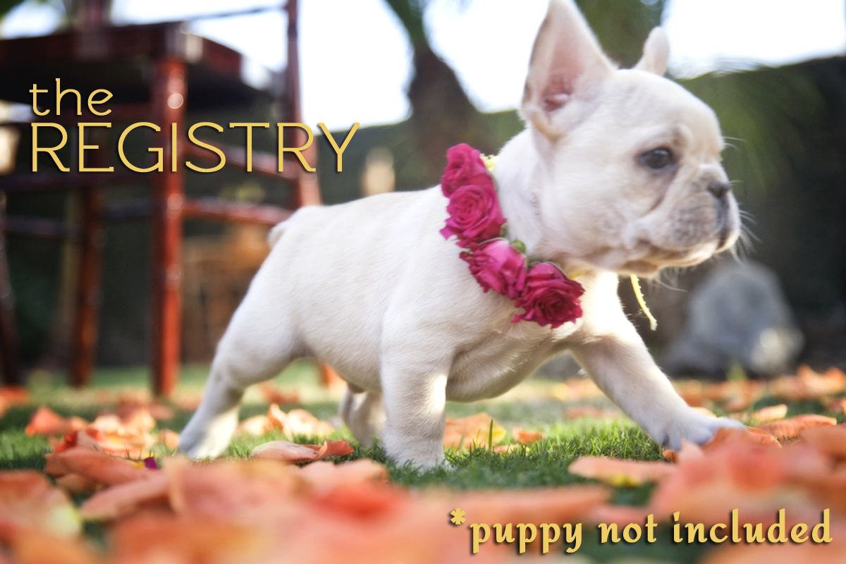 registry