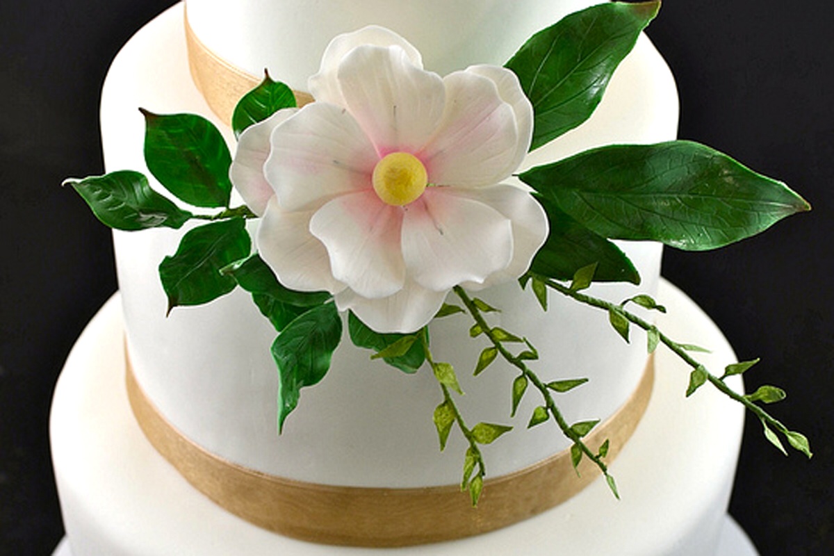 Jennywennycakes does great cake!