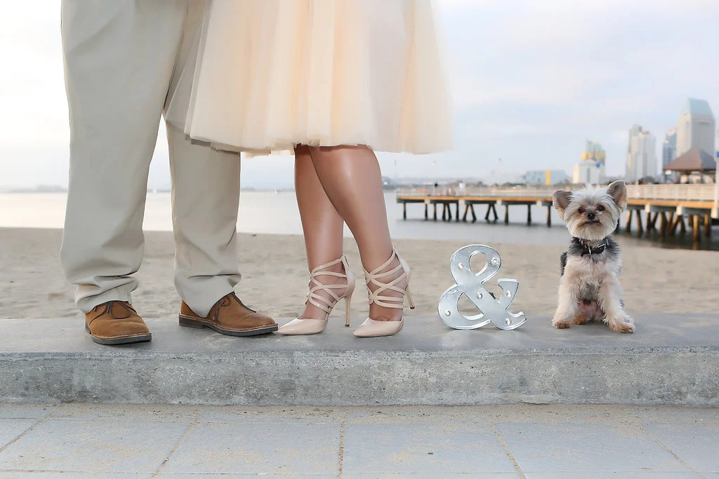 Winner Rocco with Brenda and Martin at Coronado Landing by Shadowcatcher Imagery
