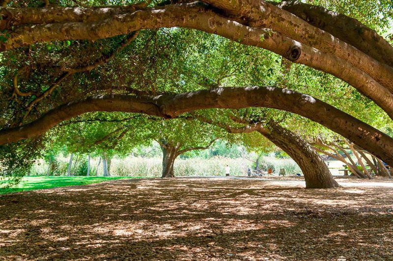 County of San Diego Parks and Recreation Department