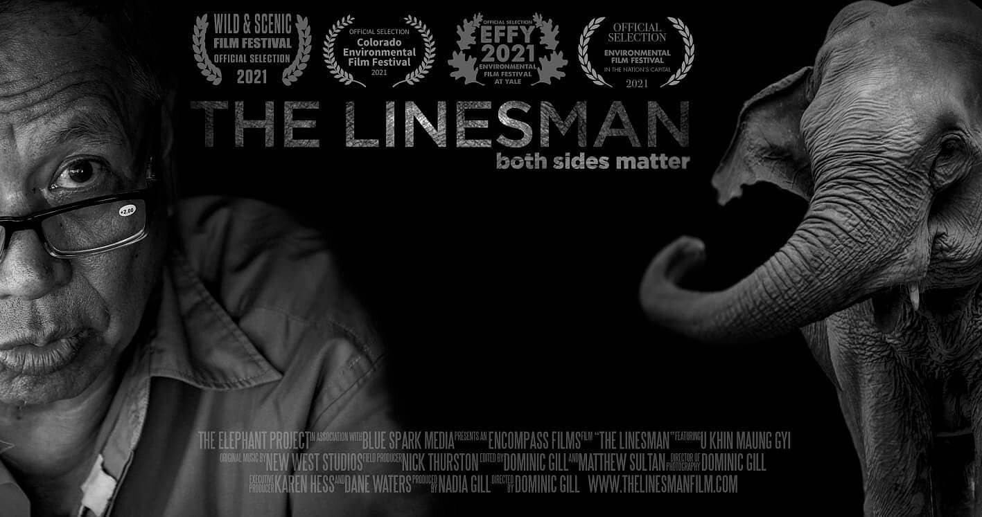 Our new movie poster for The Linesman with the laurels of the film festivals we have been selected to participate in. More to come!

Plus, I encourage all of you to watch our film and many more amazing documentaries at the DC Environmental Film Festi