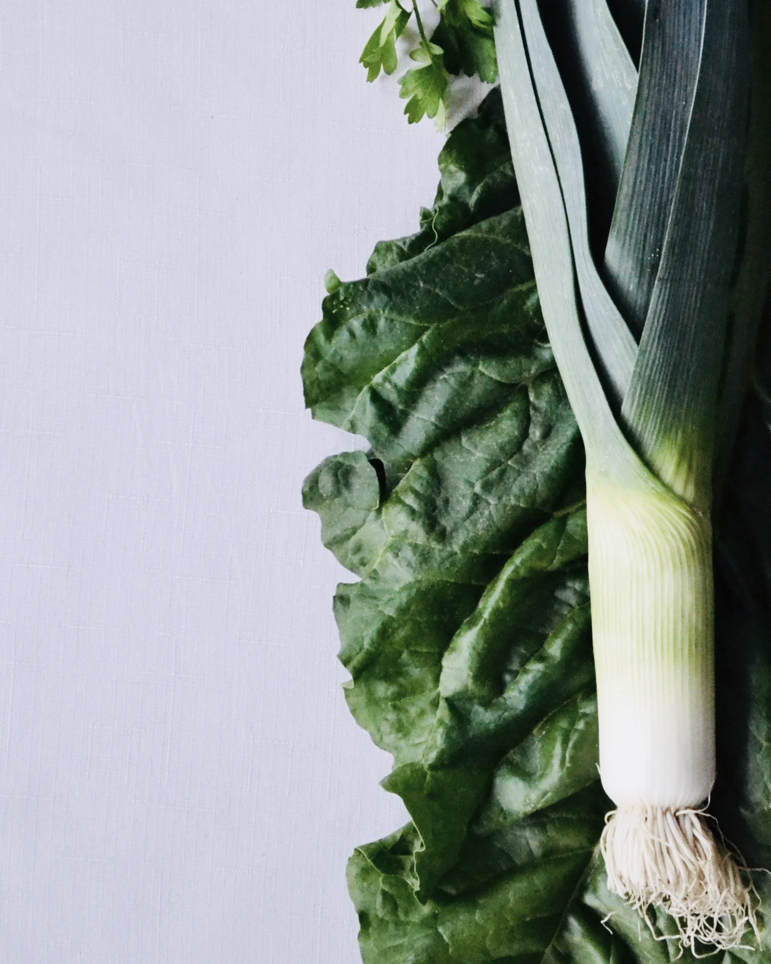 Springtime Veggie Soup